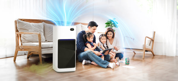How to Choose the Perfect Air Purifier for Your Home?