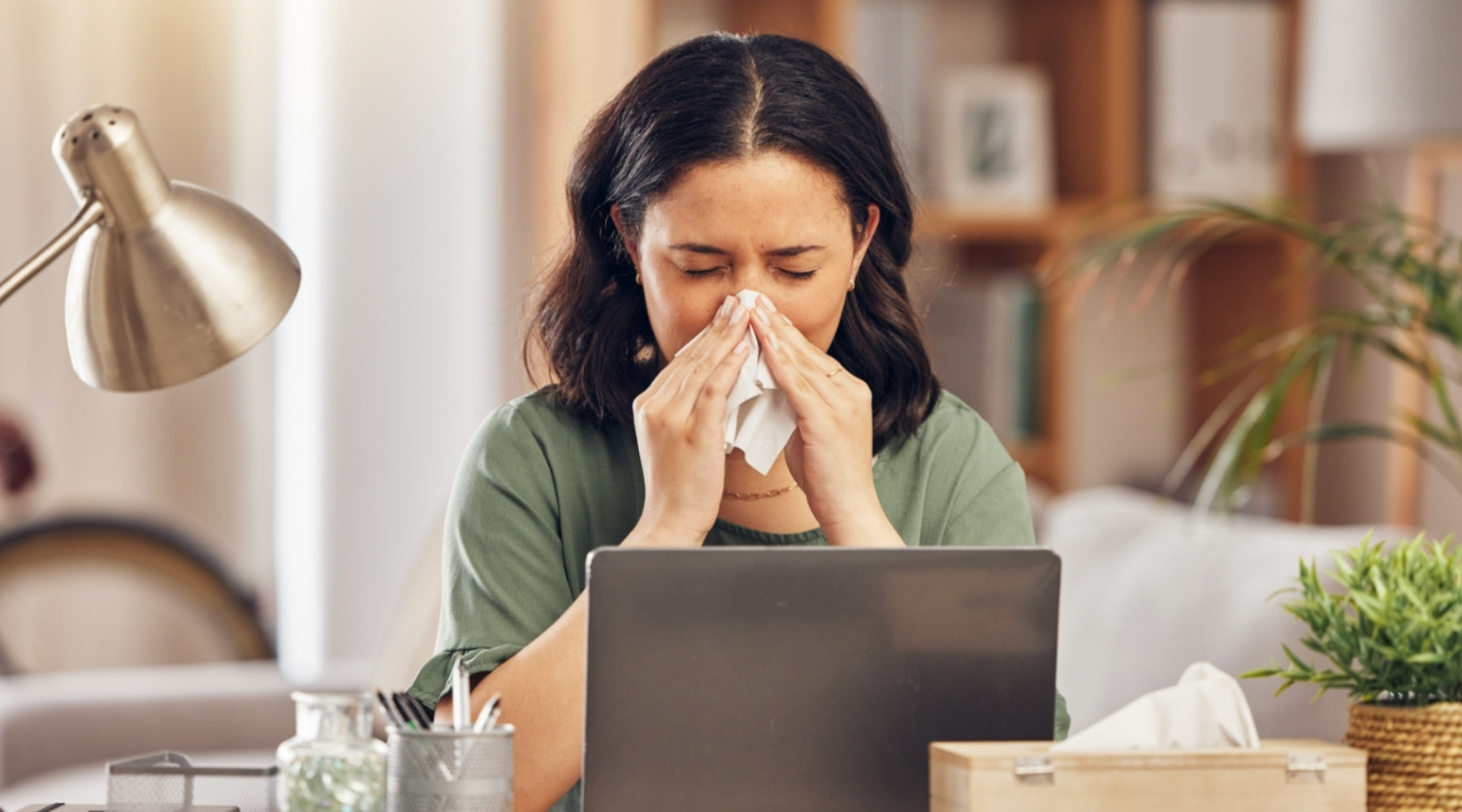 Reasons Why You Need an Air Purifier and Their Benefits