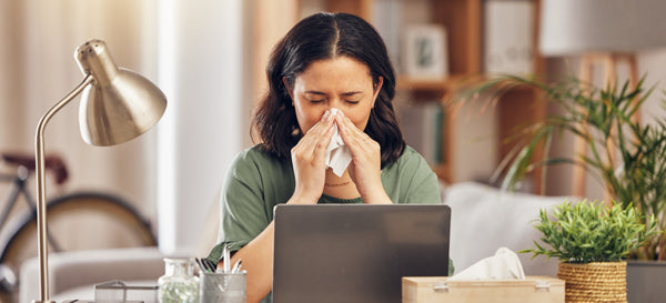 Reasons Why You Need an Air Purifier and Their Benefits