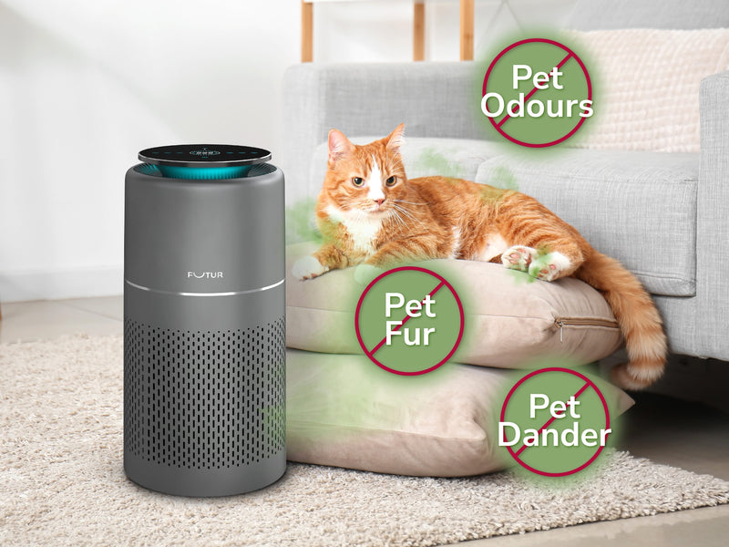 Perfect Air Purifier for Pet Friendly Homes