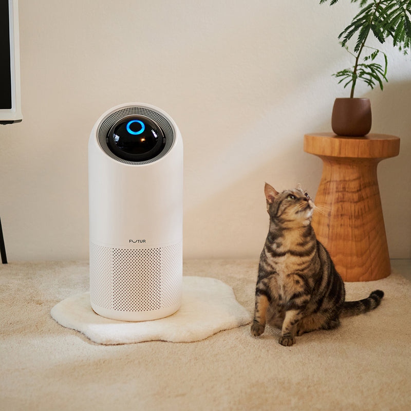 Works with Pet Fur